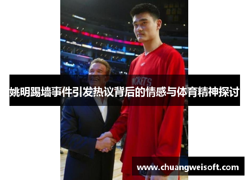 姚明踢墙事件引发热议背后的情感与体育精神探讨