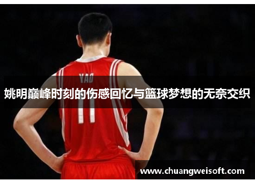 姚明巅峰时刻的伤感回忆与篮球梦想的无奈交织